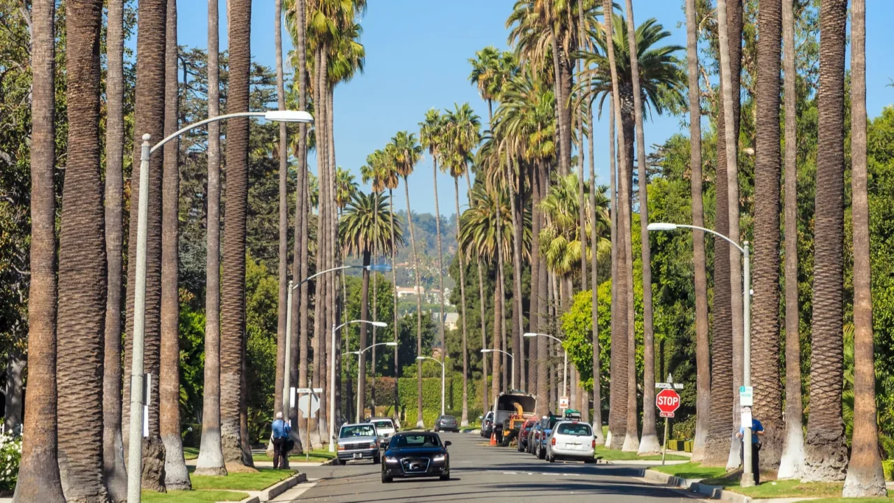 streets of beverly hills