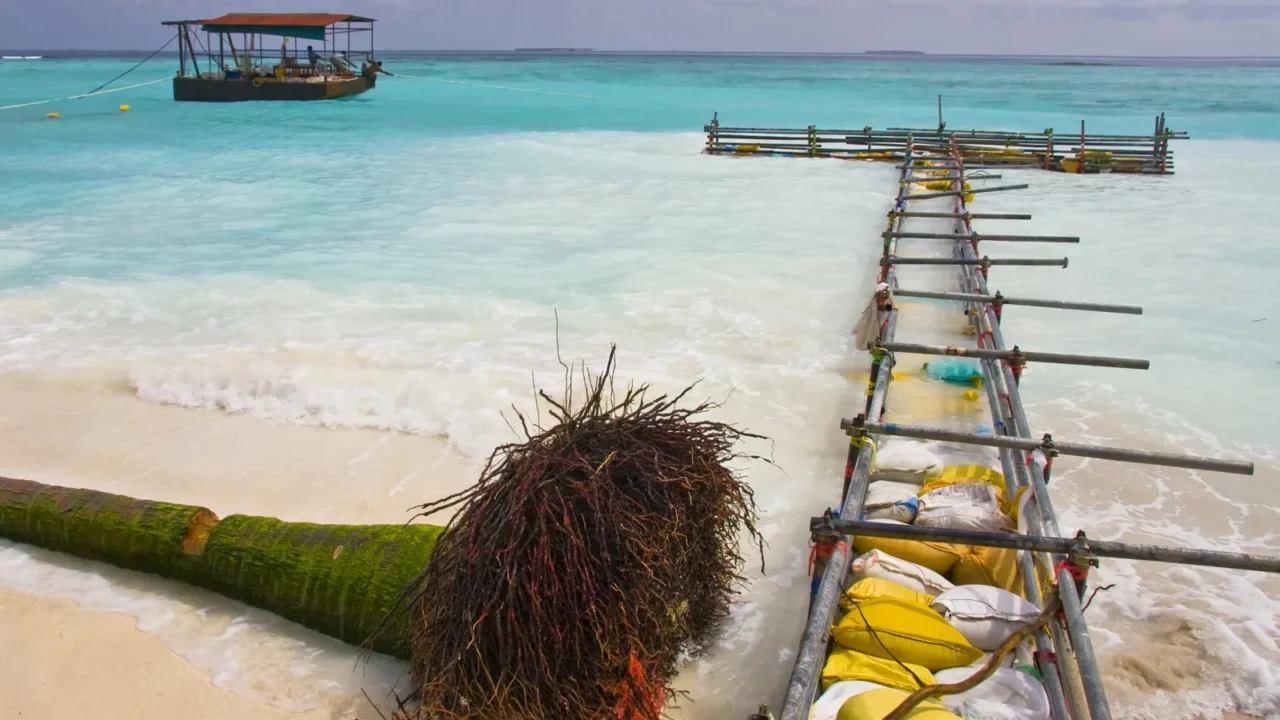 strengthening coast on one of maldivian
