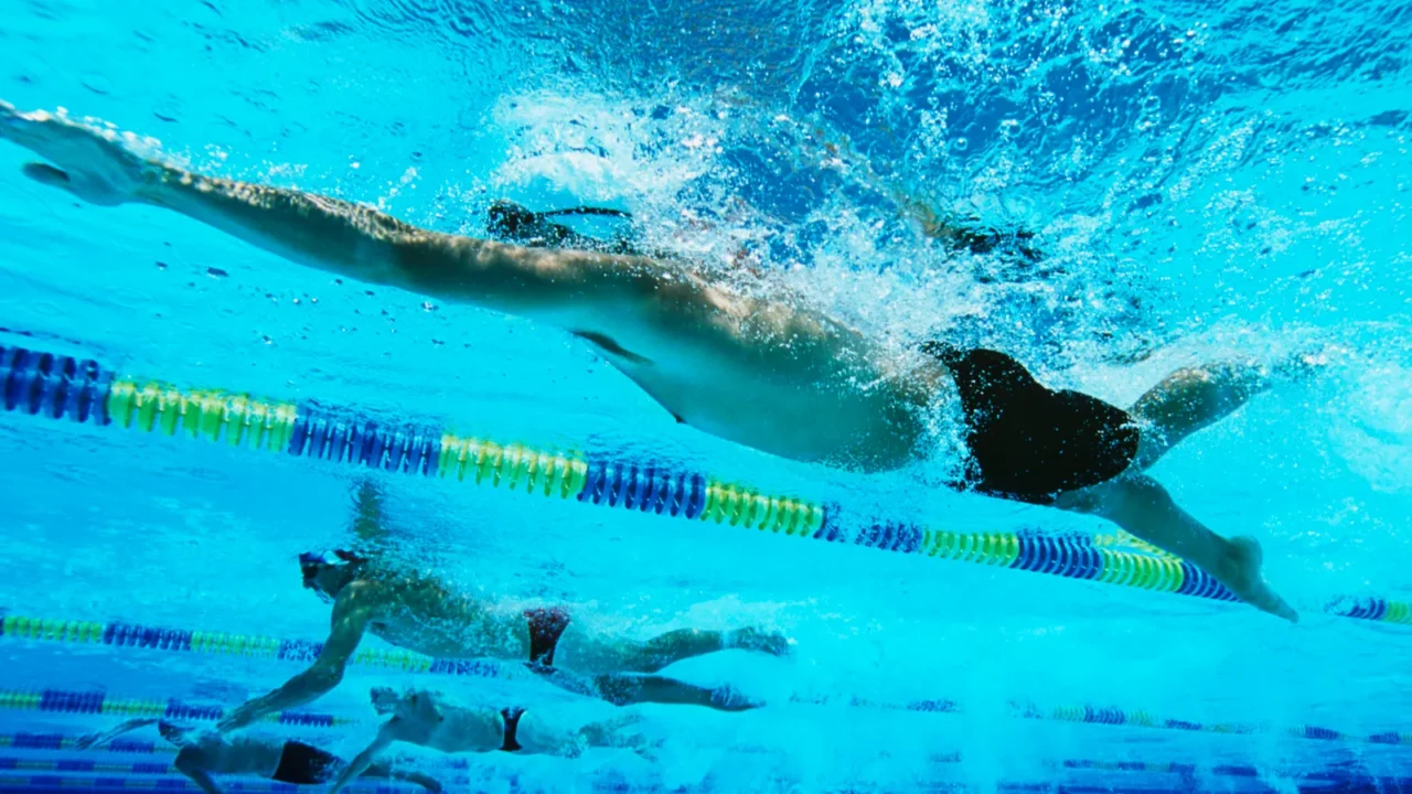 swimmers swimming together in a line during race