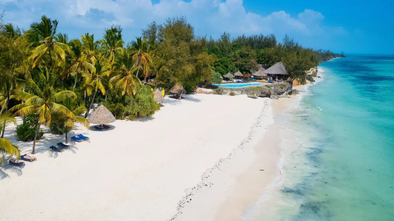 the beach on the zanzibar island coast is stunning with