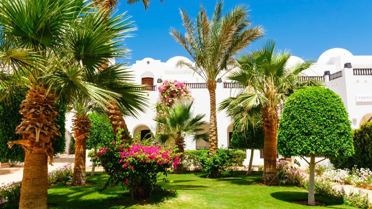 the green meadow with trees