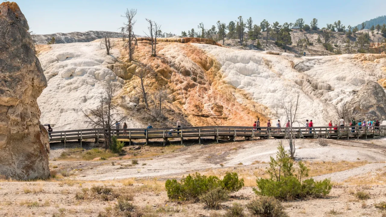 thermal springs and limestone formations at mammoth hot springs in