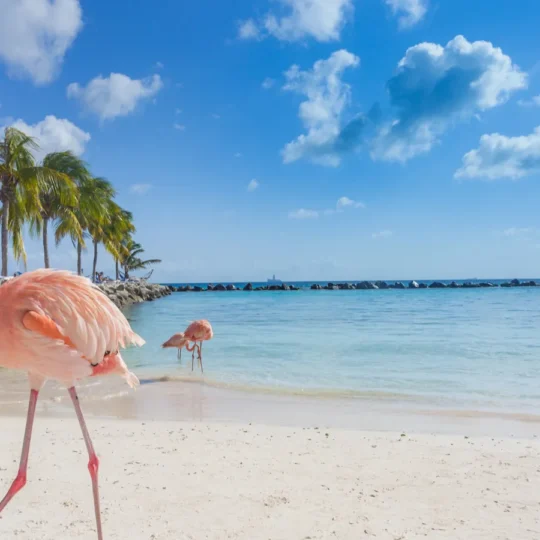 Weather-smart Caribbean escapes after recent storm disruptions