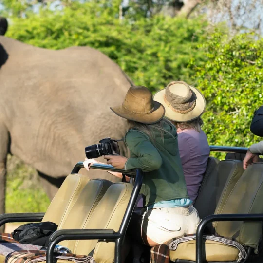 Celebrity safari adventures inside Africa’s most exclusive camps