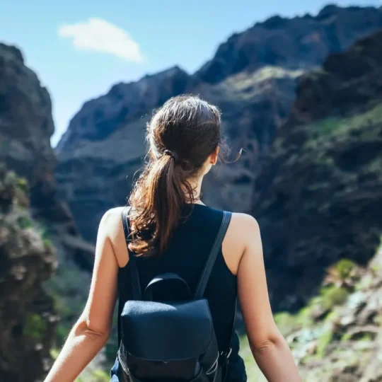 How celebrity led genealogy trips are transforming rural tourism