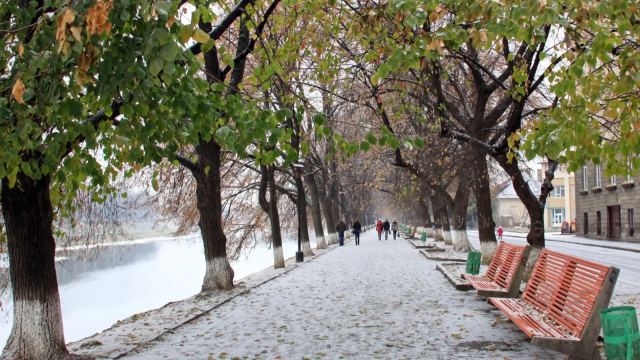treelined promenade by a river covered with a light dusting