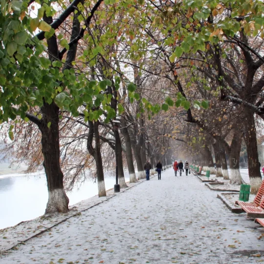 Winter sun destinations trending as cold weather hits