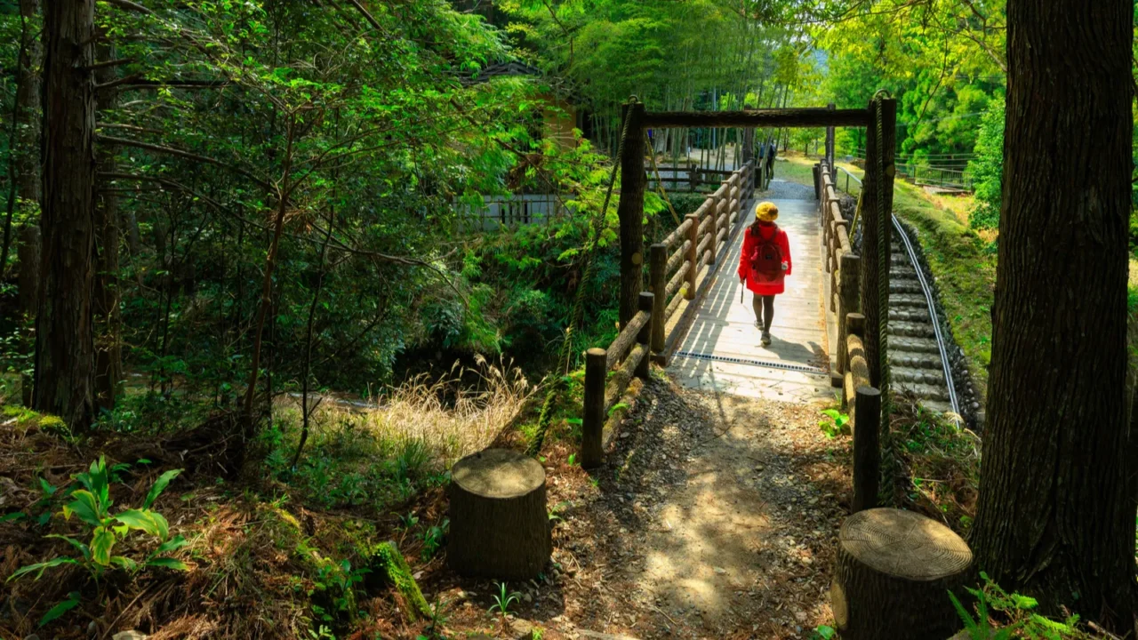 trekking in kumano kodo