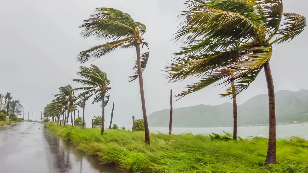 tropical storm heavy rain and high winds in tropical climates