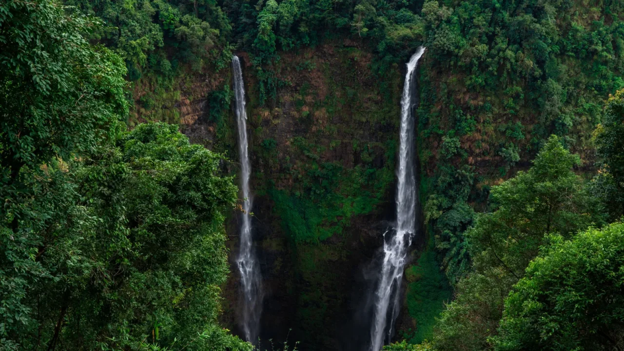 two waterfalls dramatically falling in the green canyon of bolaven