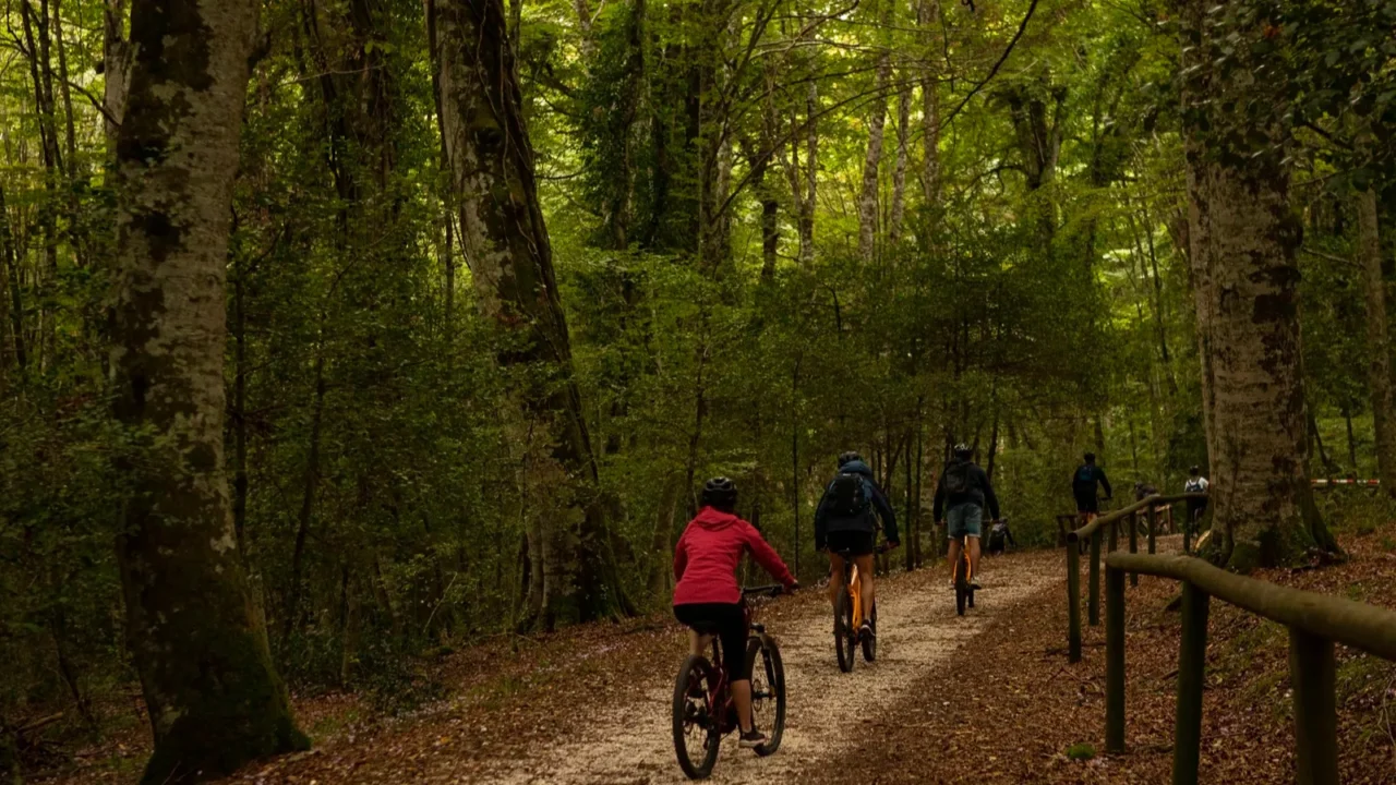 umbra italyseptember 26 2024 the gargano national park in italy