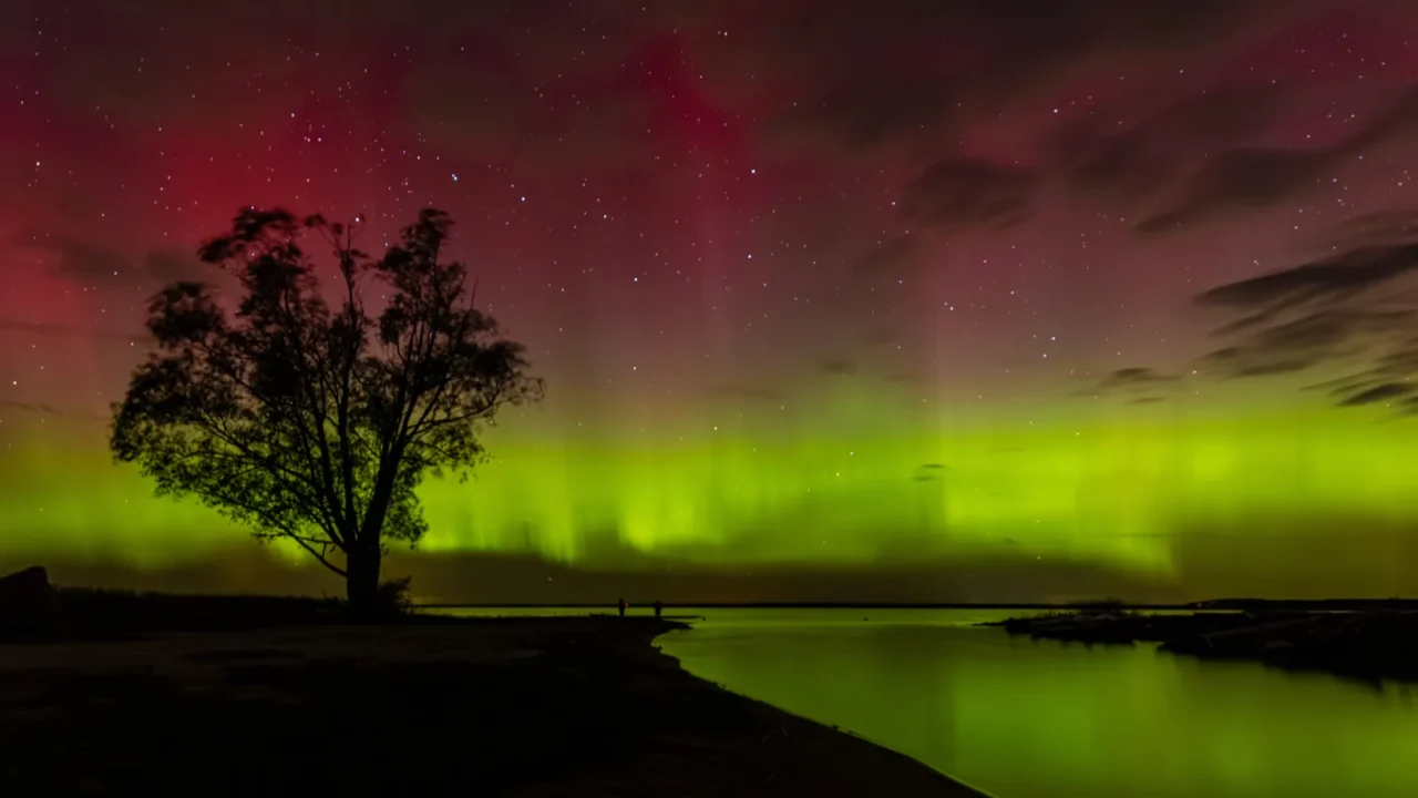 vivid green and red auroras illuminate the night sky over