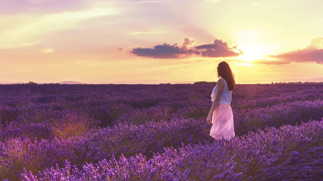 walking women in the field of lavenderromantic women in lavender