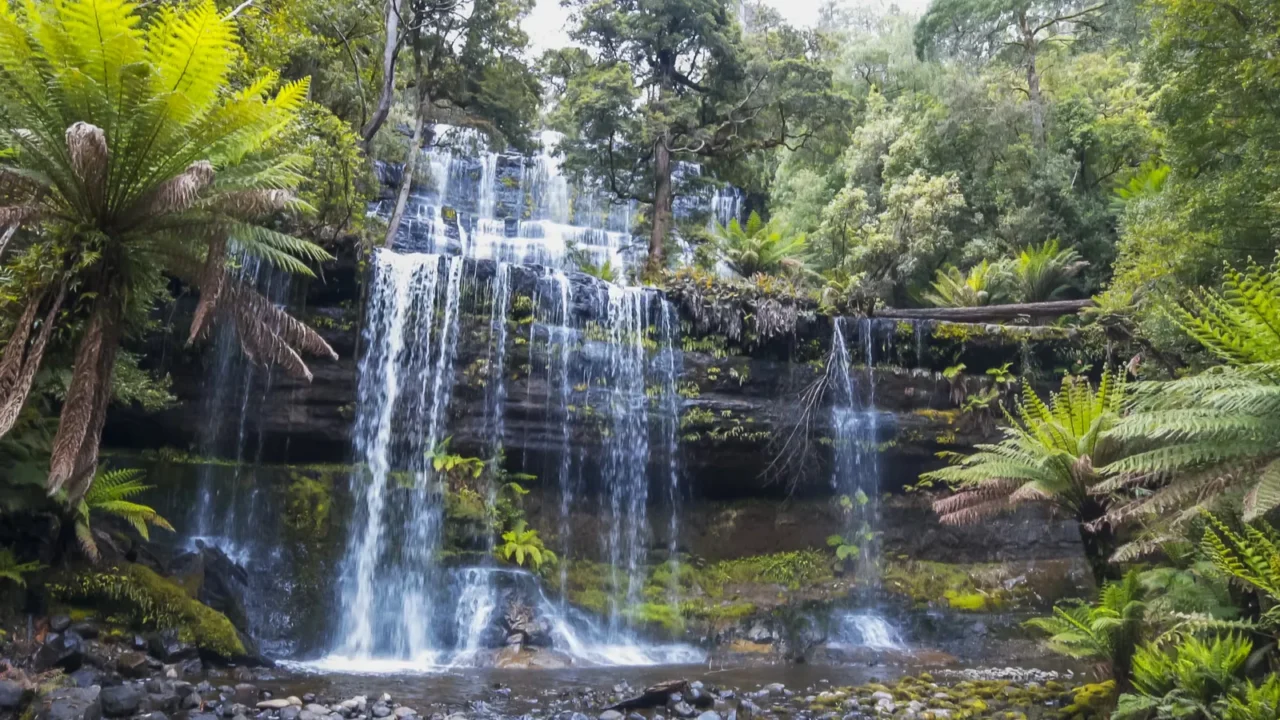 wide view of russell falls at mt field national park