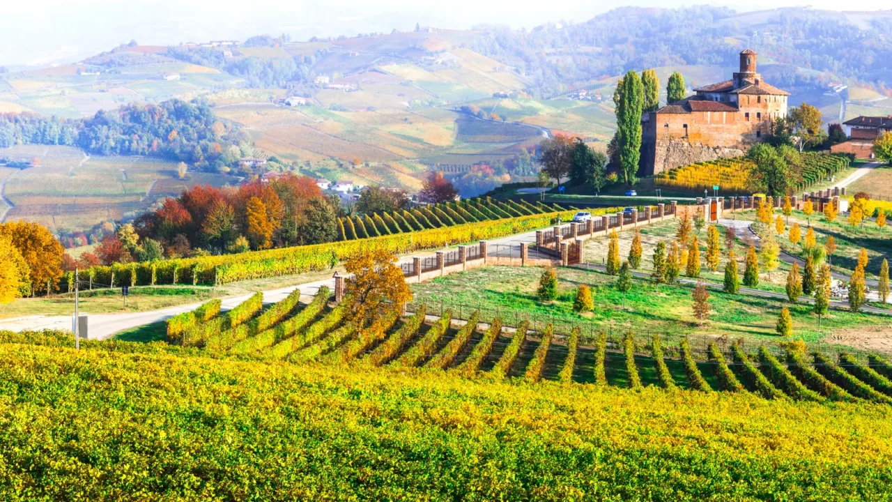 wine tour on italy piedmont barolo village and castle autumnal