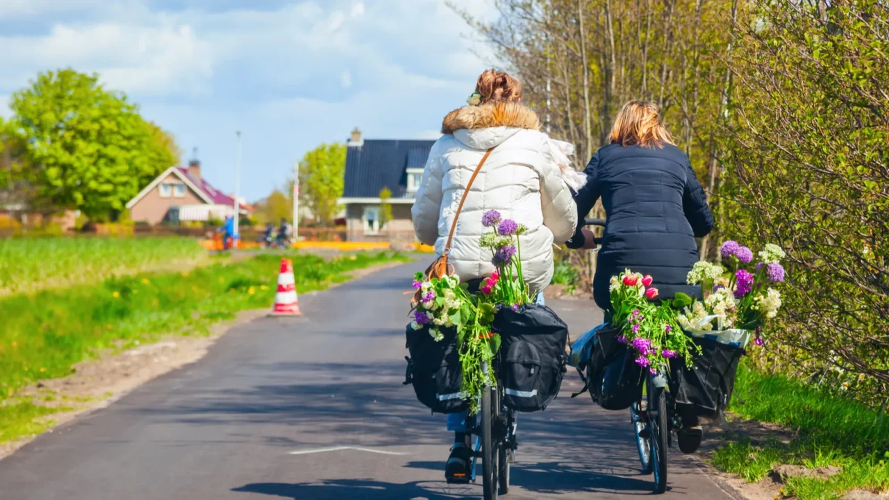 women riding bicycle with flowers in a basket