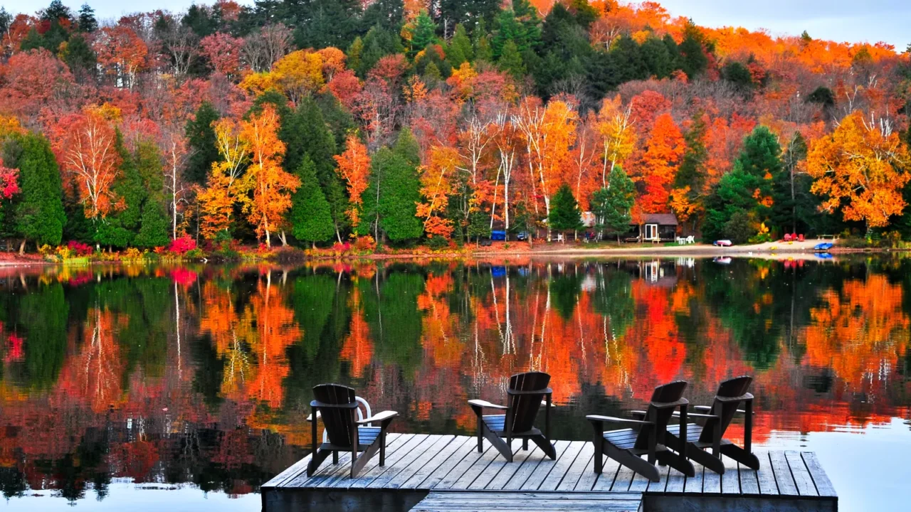 wooden dock on autumn lake