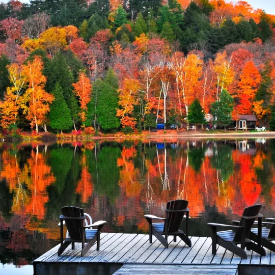 Remote Canadian lakes where stars seek solitude and reflection
