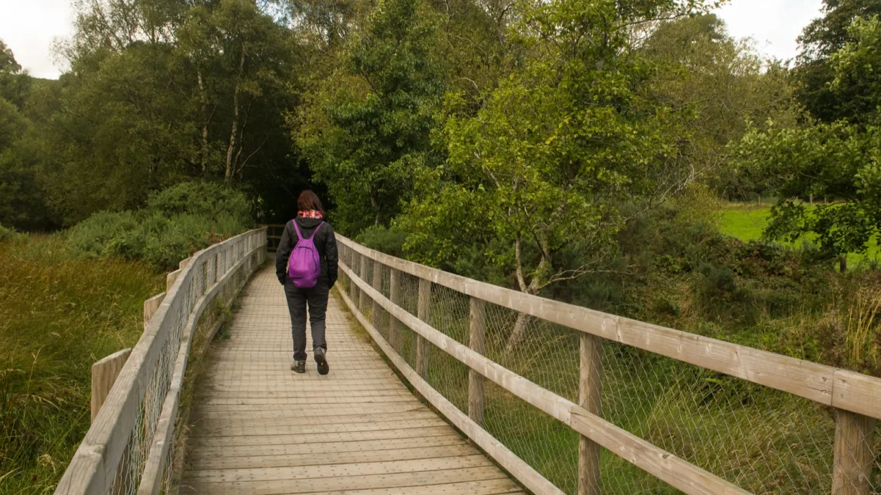 wooden trail at glendalough ireland