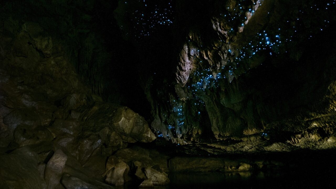 Amazing New Zealand Tourist attraction glowworm luminous worms in caves. High ISO Photo..