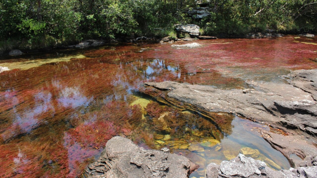 5 Color river in Colombia