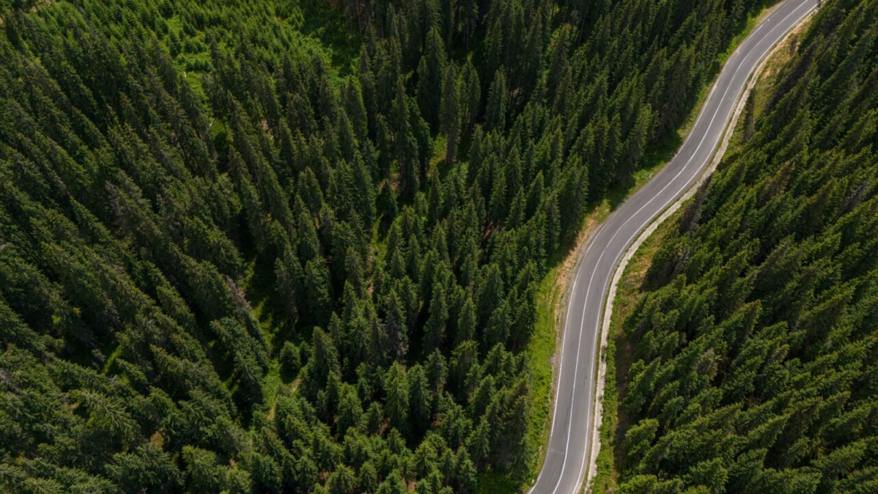 Beautiful aerial view of dense forest mountain landscape in summer time with curvy road cutting through forest. Aerial view by drone . Romania