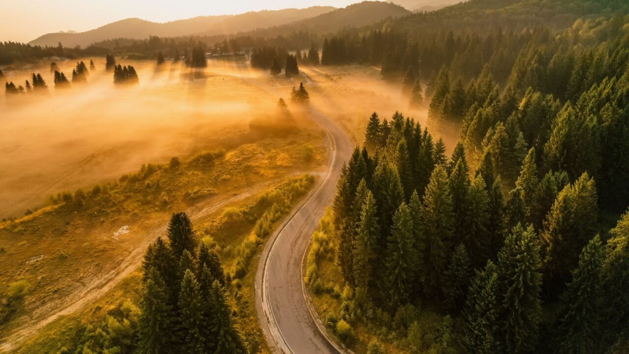 Aerial sunrise on the plain with fog and trees on the meadow. Summer landscape from Poiana Brasov, ski resort, Romania