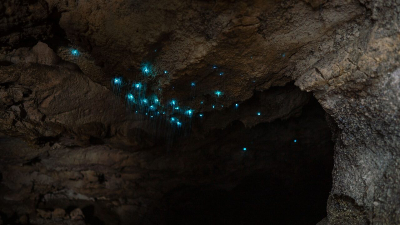 Fenian caves ,Oparara Valley, New Zealand