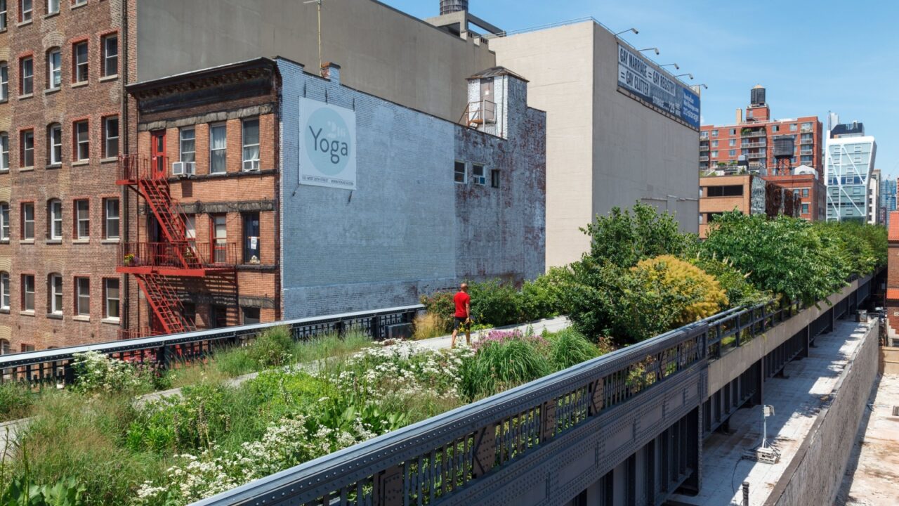 NEW YORK CITY, US - Jul 08, 2013: Tourists enjoying the elevated linear High Line park in New York City with blooming flowers in Summer