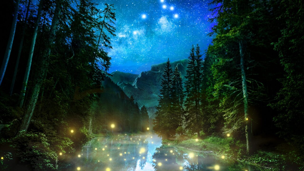 Fantastic night forest night nature abstract