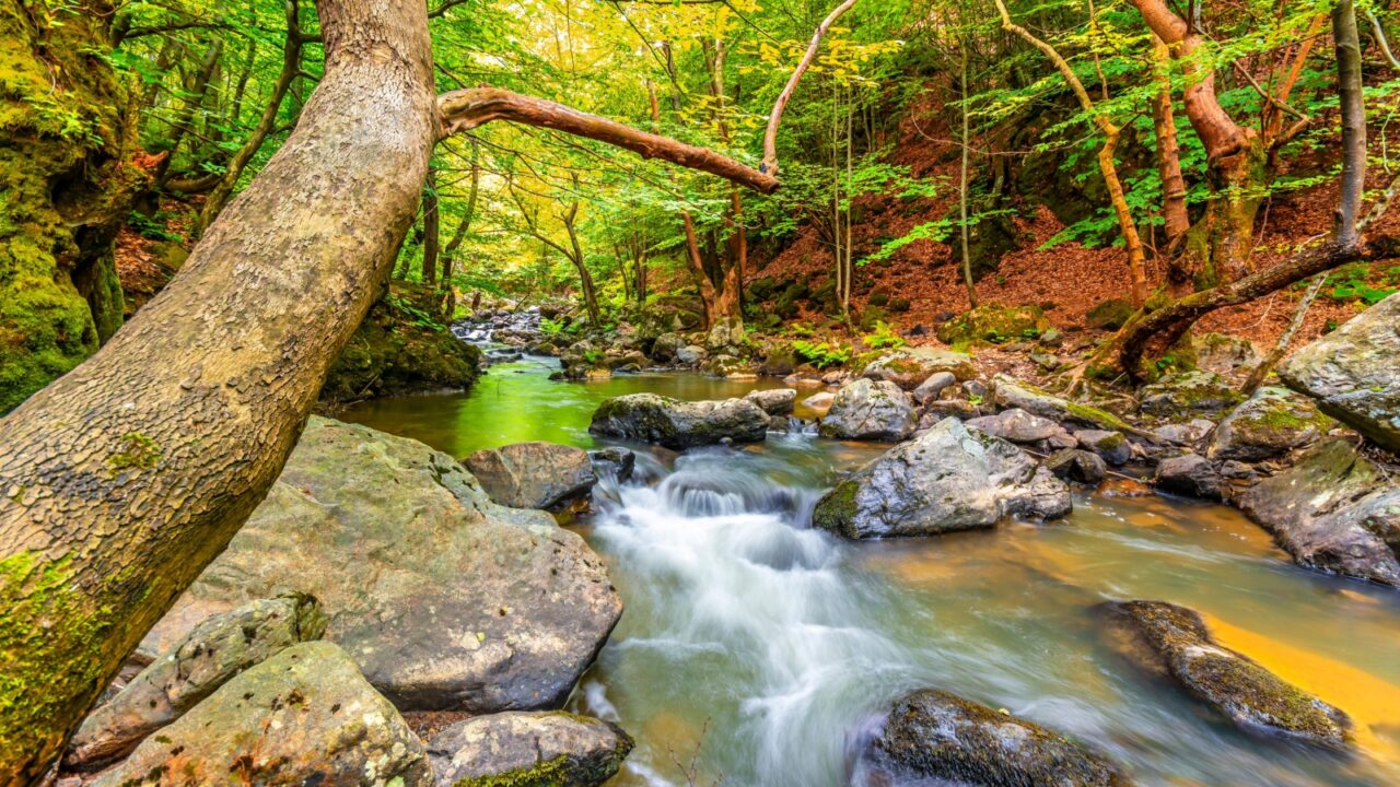 Erikli Cifte Waterfall in Yalova Province of Turkey