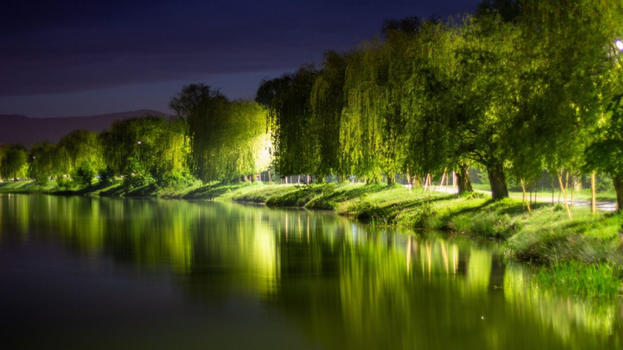 Night view of riverside with illuminated trees reflecting in calm water, creating a magical and dreamy atmosphere.