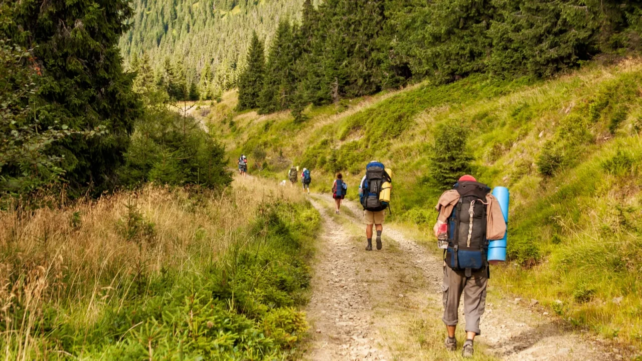 a group of tourists on a mountain trail the concept