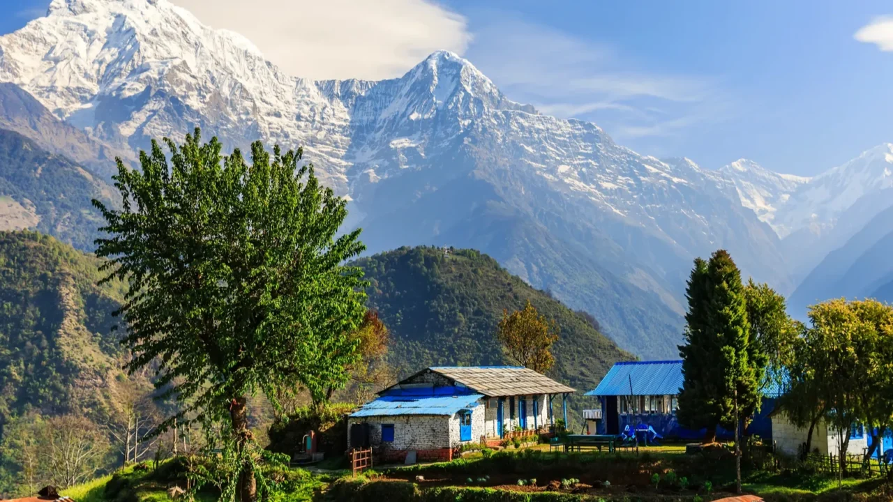 amazing morning view