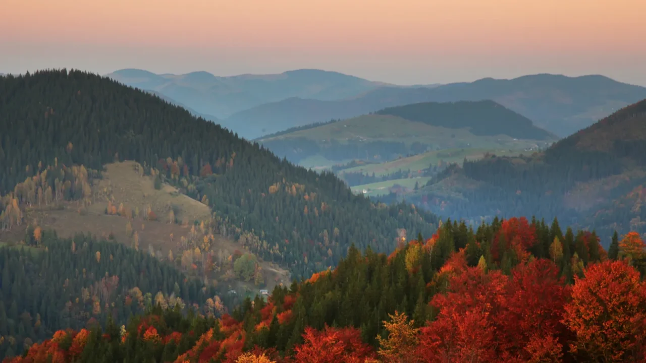 autumn colors mountain forest