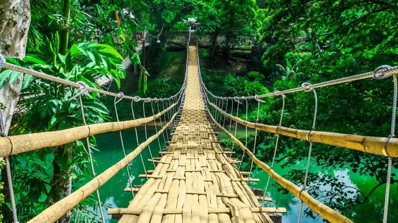 bamboo hanging bridge over river in tropical forest