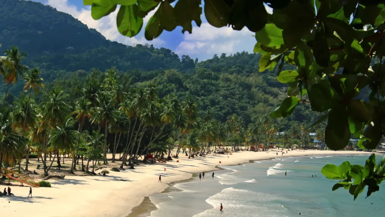 beach of the maracas bay trinidad