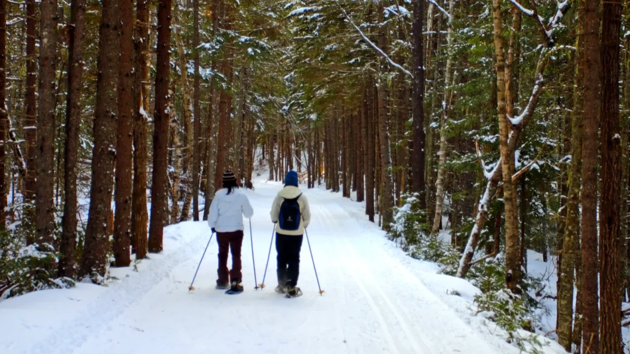bretton woods new hampshire