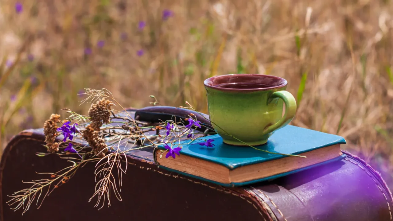 brown vintage suitcase with old book dried wild purple flowers