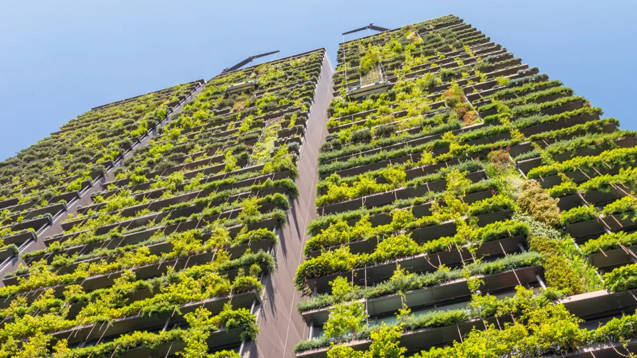 building exterior covered by plants
