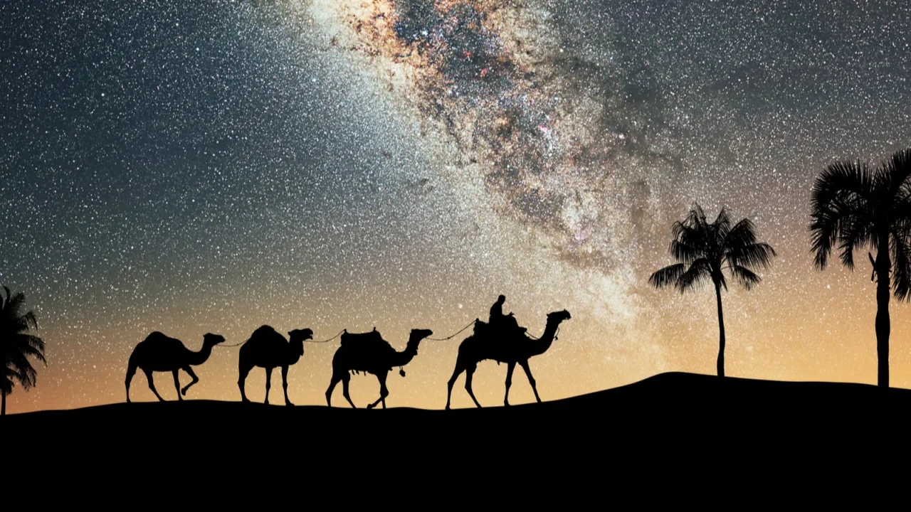 camel caravan moving in the sahara desert at night