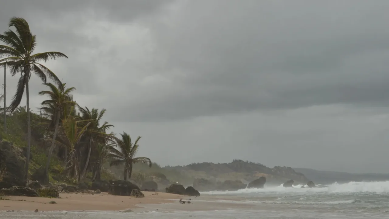 caribic caribbien coast hurricane storm wind beauty tropical storm high