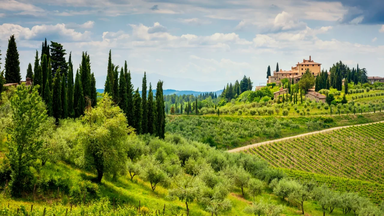 chianti hills with vineyards and cypress tuscan landscape between siena