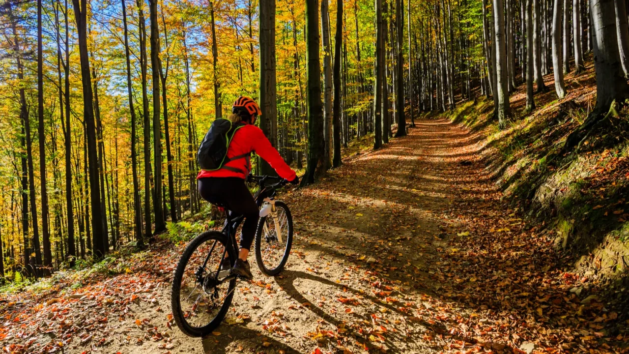 cycling mountain bikeing woman on cycle trail in autumn forest