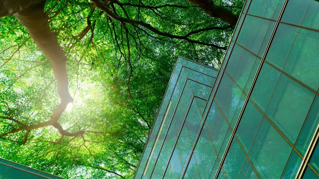 ecofriendly building in the modern city green tree branches with