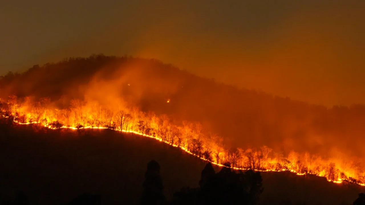 fires burned in a straight line along the hillside at
