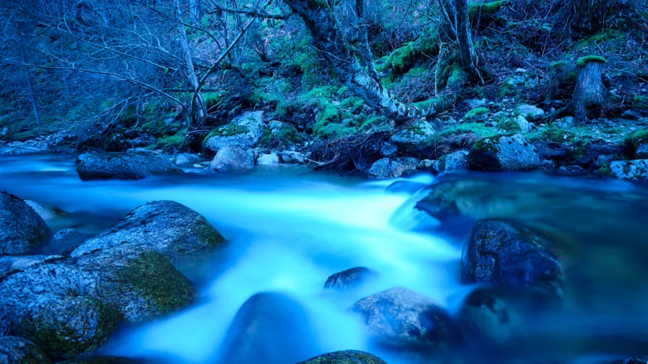 forest and creek by night lozoya river in madrid spain
