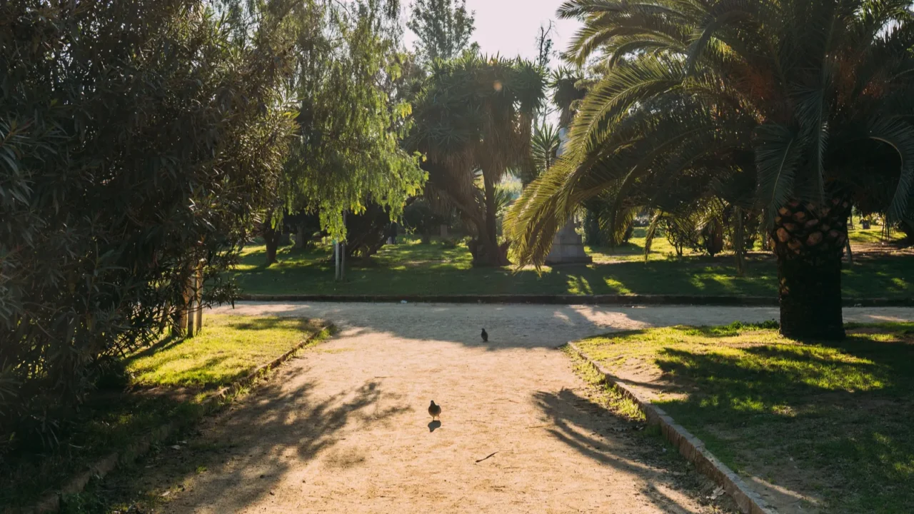 green trees and walking paths in parc de la ciutadella