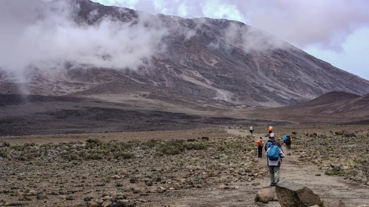 group of hikers trekking kilimanjaro mountain kilimanjaro natio