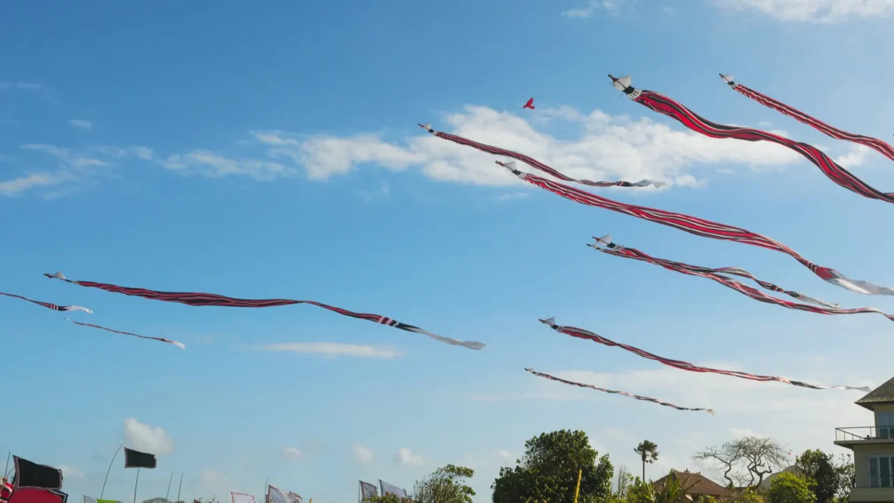 huge kites with the long striped tails in the